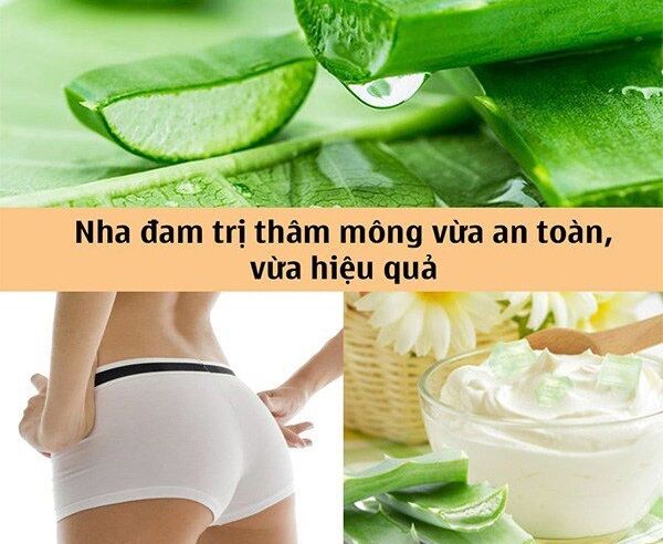 Trị thâm mông bằng nha đam